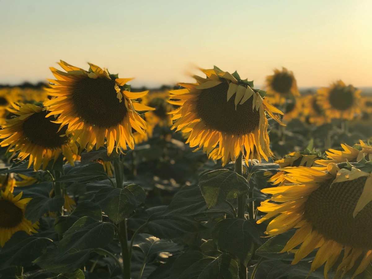 slide-Sustainable Automation, Superior Accuracy